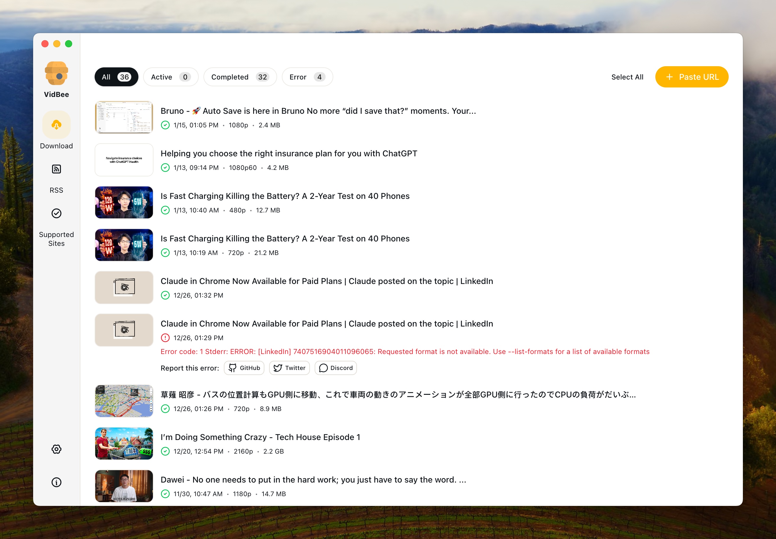 VidBee Interface Preview