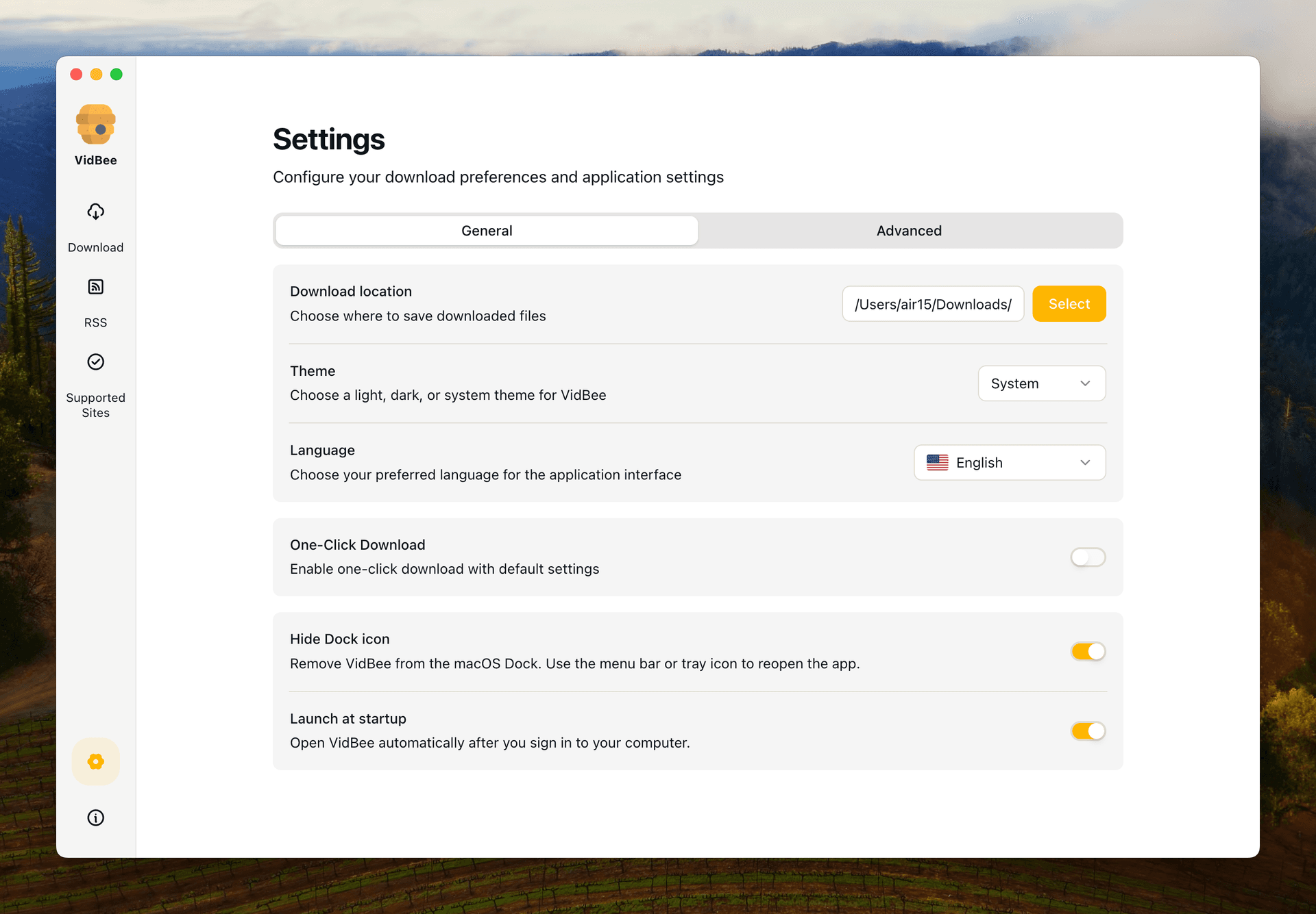 VidBee Interface Preview